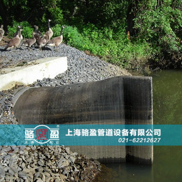 直嘴<a href=http://www.zhonggutong.com target=_blank class=infotextkey>橡膠止回閥</a>運(yùn)行現(xiàn)場(chǎng)